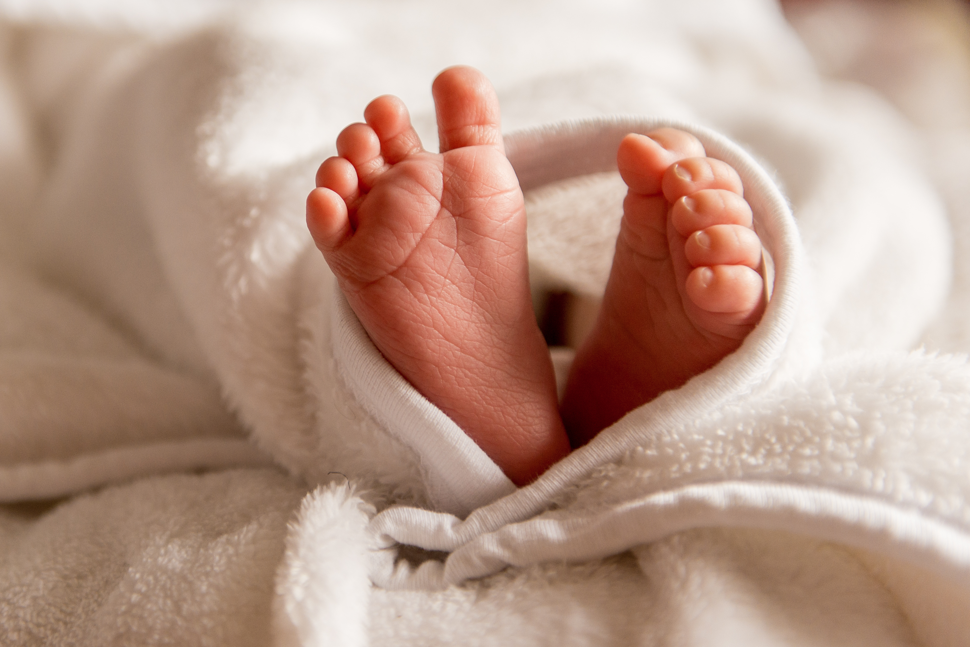Begleit-Bundle Schwangerschaft und Wochenbett